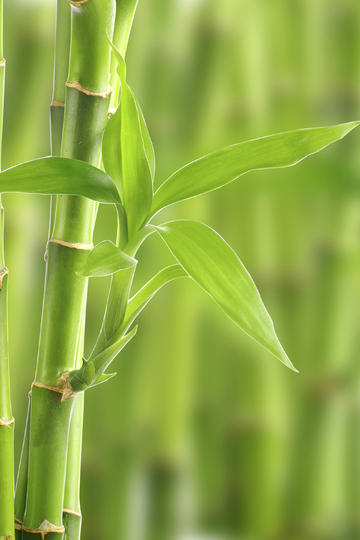 邓超水下吐血镜头